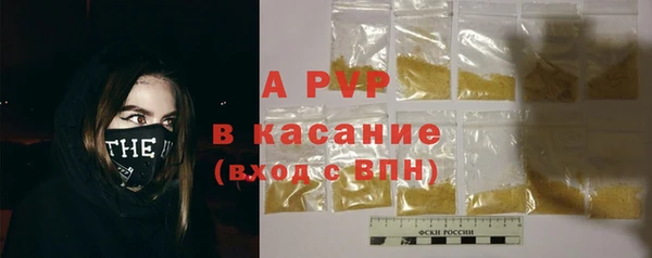 дмт Белокуриха