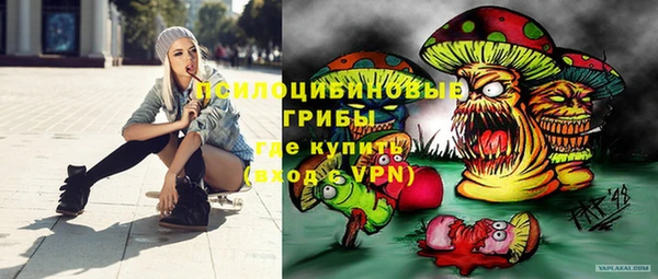 дмт Белокуриха