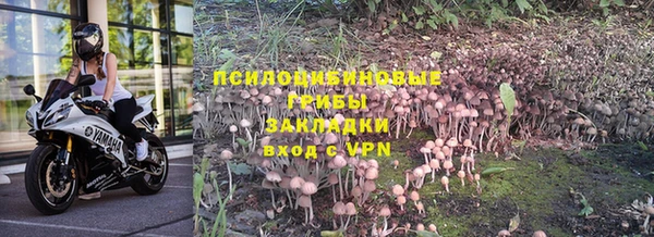 дмт Белокуриха