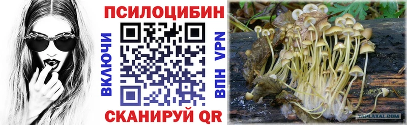 Псилоцибиновые грибы прущие грибы  где можно купить   Кунгур 